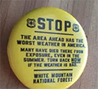 Yellow Stop Sign Pin
